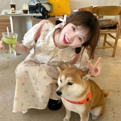 开麦拉狂想曲