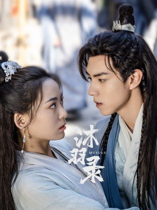 痴鸡小队 封面图