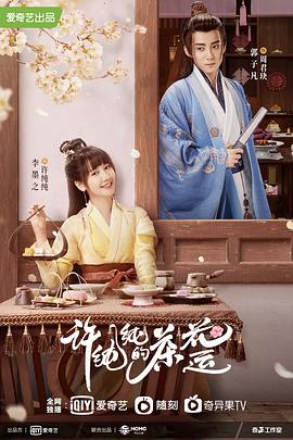 A计划续集粤语 封面图